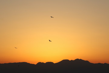 View from Enoshima island to mountain silhouettes with dramatic sunset, Fujisawa, Kanagawa prefecture, Japan
