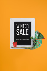 green chameleon in hat with christmas gift sitting on blackboard with winter sale isolated on orange