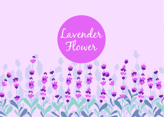 Lavender beautifull field background vector illutration 