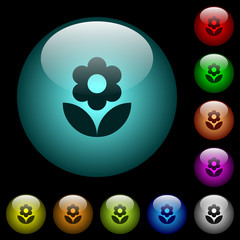 Flower icons in color illuminated glass buttons