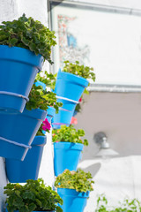 Fantastic sunny Spanish street with flowers in blue pots. Andalusian identity. Close-up
