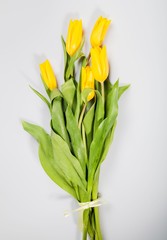 bouquet of yellow tulips