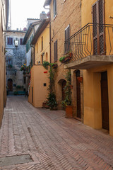 Old street of medieval town Pienza are decorated with ivy and flowers, Italy