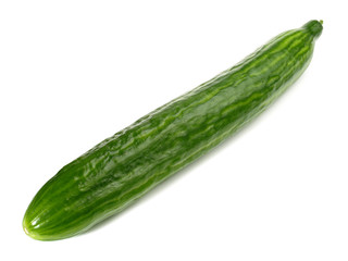 Salatgurke