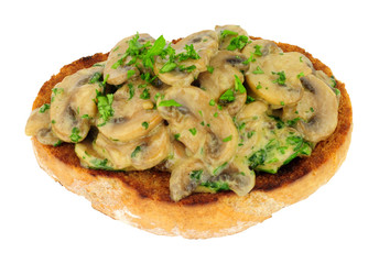Creamy mushrooms on toast isolated on a white background