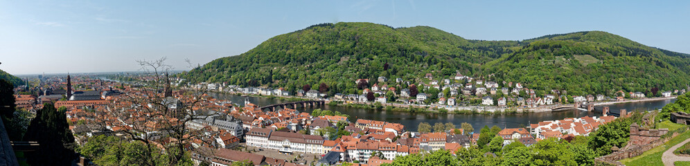 View from Heidelberg Castle