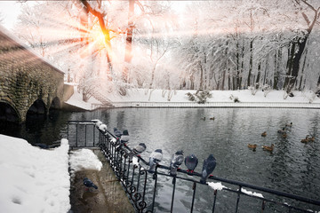Fototapety na wymiar - Fototapeta24.pl