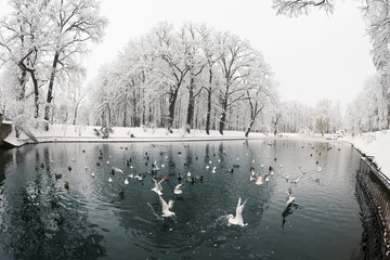 Fototapety na wymiar - Fototapeta24.pl
