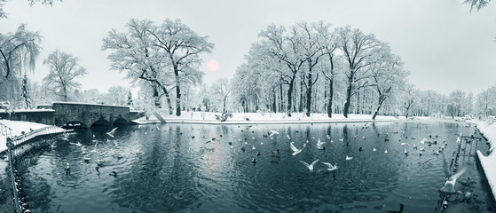 Fototapety na wymiar - Fototapeta24.pl