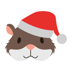 cute hamster with warm hat christmas