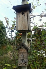 Nistkasten aus Holz in einem Garten