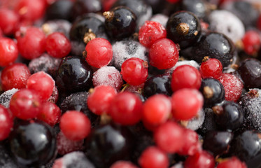 Frozen mixed berries as background. Currant mulberry texture pattern. Diet vegetarian food in winter.