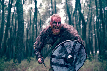 fierce viking warrior wounded in battle - 234648159