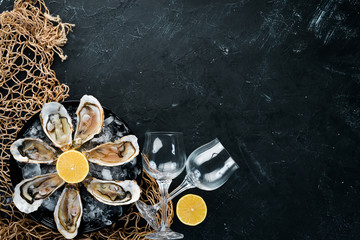 Fresh oysters in a plate of ice and lemon. Seafood. Top view. Free copy space.