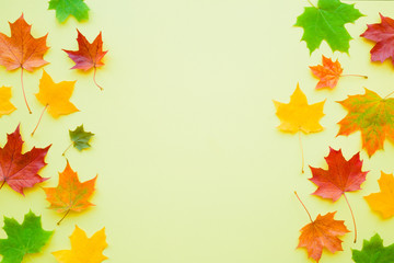 Naklejka na ściany i meble Welcome autumn. Fresh, colorful maple leaves on pastel light yellow table. Bright colors. Empty place for inspirational, positive text, quote or sayings. Flat lay. Top view.