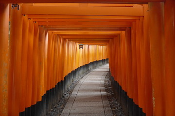 Fototapeta premium ALL