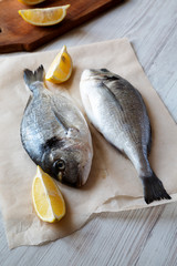 Fresh dorado fish with slices of lemon over white wooden background, side view. Close-up.