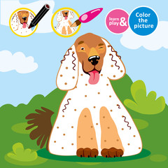Paint spaniel dog in color. Game for small children. Develop care drawing skills with game. Coloring. For childrens magazines. Learn and play. Educational vector illustration for babies