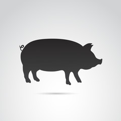 Pig vector icon.