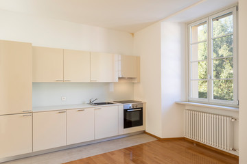 Modern kitchen in the house with parquet