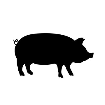Pig vector icon.