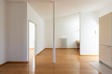 Empty room with parquet and white walls