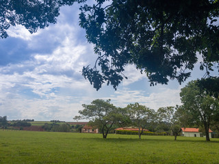 fazenda