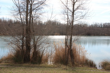 ECOTITE VAL DE DROME - BIOVALLEE - PARC D'ACTIVITES DEVELOPPEMENT DURABLE