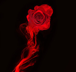 Rose und Wirbel aus rotem Rauch auf schwarzem Hintergrund isoliert