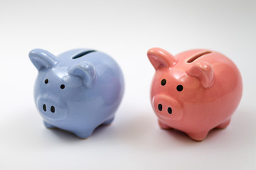 symbol of year piggy bank pink and blue on white background