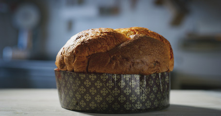 High quality Italian traditional cake Panettone homemade on a bakery table