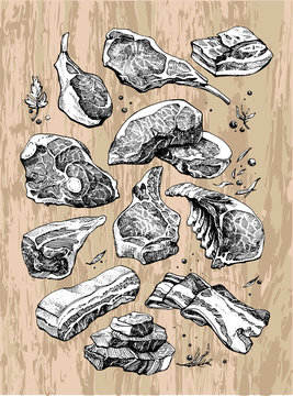 Delicious drawing of different kinds and pieces of meat