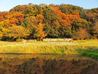 Obraz premium 池に映る秋の里山の森風景