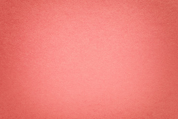 Texture of old dark pink paper background, closeup. Structure of dense cardboard.