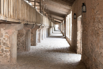 Obraz premium Samotny spacer