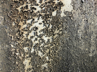 Wall texture background