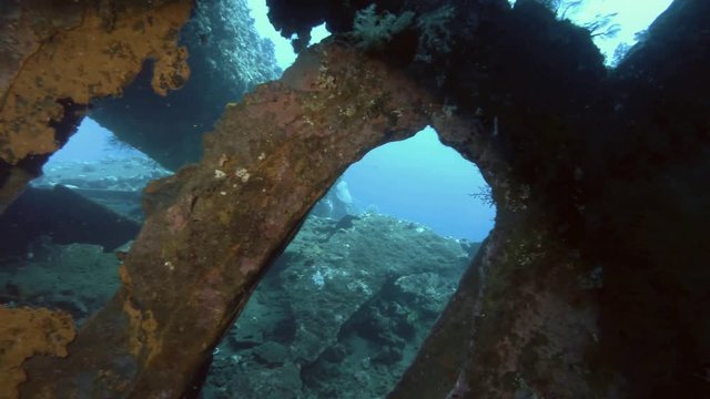Inside the shipwreck USAT Liberty - Bali, Oceania, Indonesia