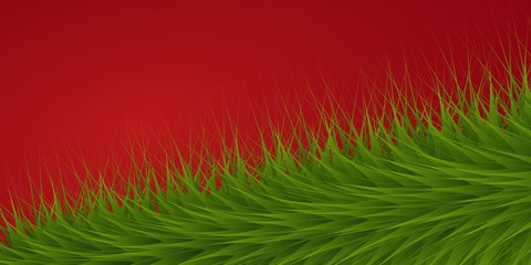 Christmas and New Year background with fir branch