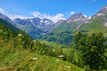 Fototapeta na wymiar Panoramic view at Pasterze Glacier Grossglockner among austrian