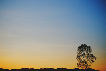 beautiful sunrise and sunset on background.