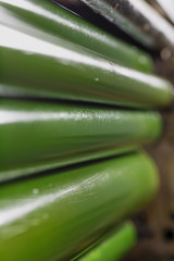 Rolling shafts in the paint of industrial printing machine. Offset printing.