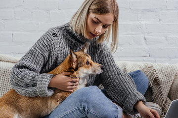 Obraz premium beautiful young woman sitting on sofa and holding pembroke welsh corgi dog