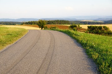 Naklejka premium Wiese in Süddeutschland mit Vulkanen und Blick auf die Schweiz