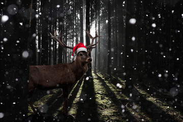 Rudolf, das Rentier bei Schneefall im Wald