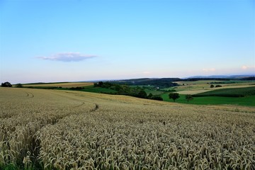 Wiese in Süddeutschland mit Vulkanen und Blick auf die Schweiz