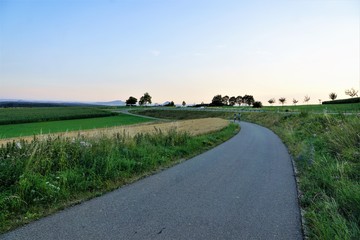 Wiese in Süddeutschland mit Vulkanen und Blick auf die Schweiz