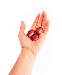A pile of roasted chestnuts, hold in female hand, isolated on white background. Woman's hand giving chestnuts.