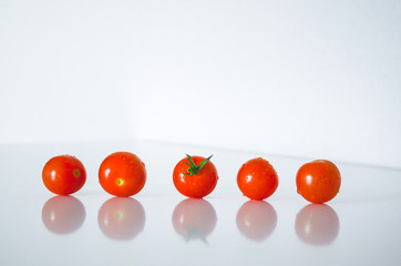 tomatoes on white background