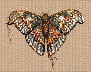 sketch of a knitted butterfly, moth, from a thick woolen thread