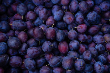 Tasty organic gpoup of plums at local market